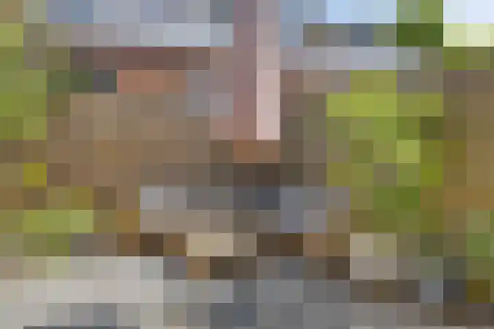Crocussenlaan 9 Bennebroek thumbnail 16