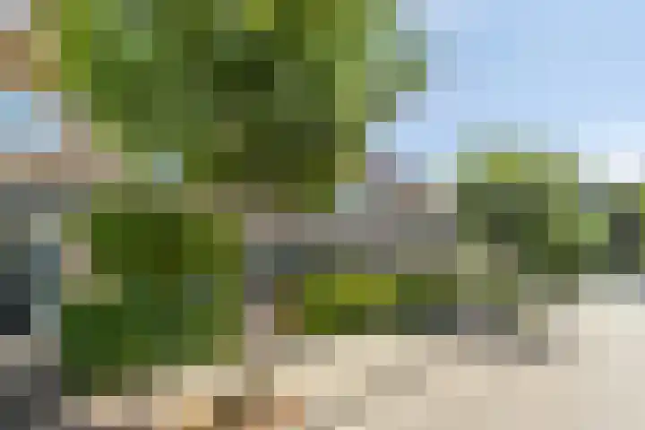 Crocussenlaan 9 Bennebroek thumbnail 33
