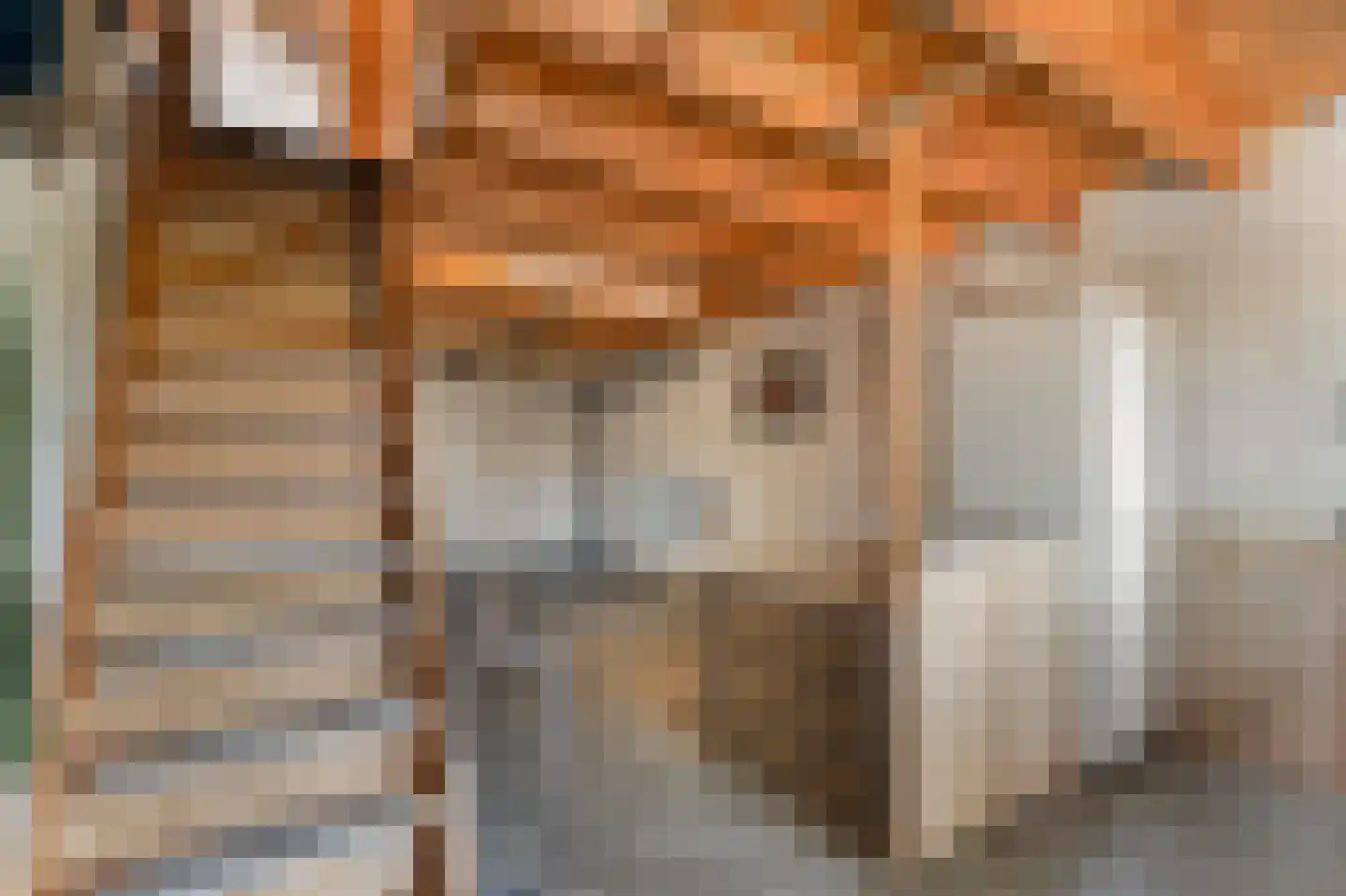 Crocussenstraat 10 Breezand thumbnail 30