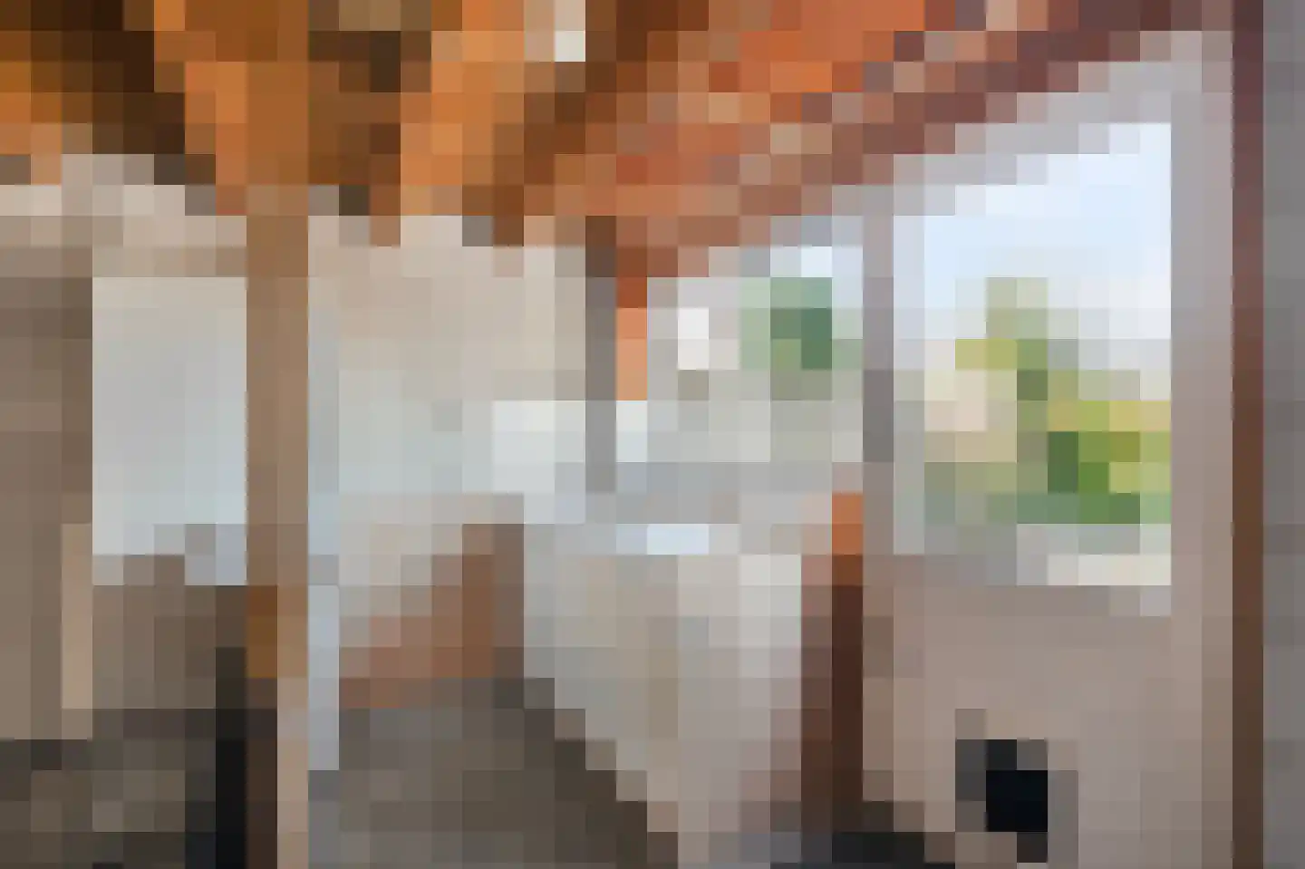 Crocussenstraat 10 Breezand thumbnail 33