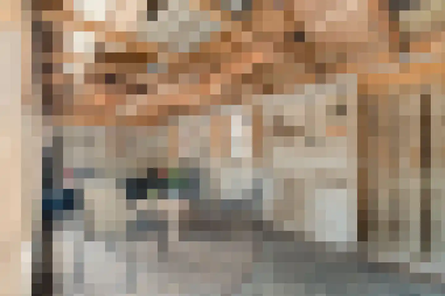Crocussenstraat 10 Breezand thumbnail 36