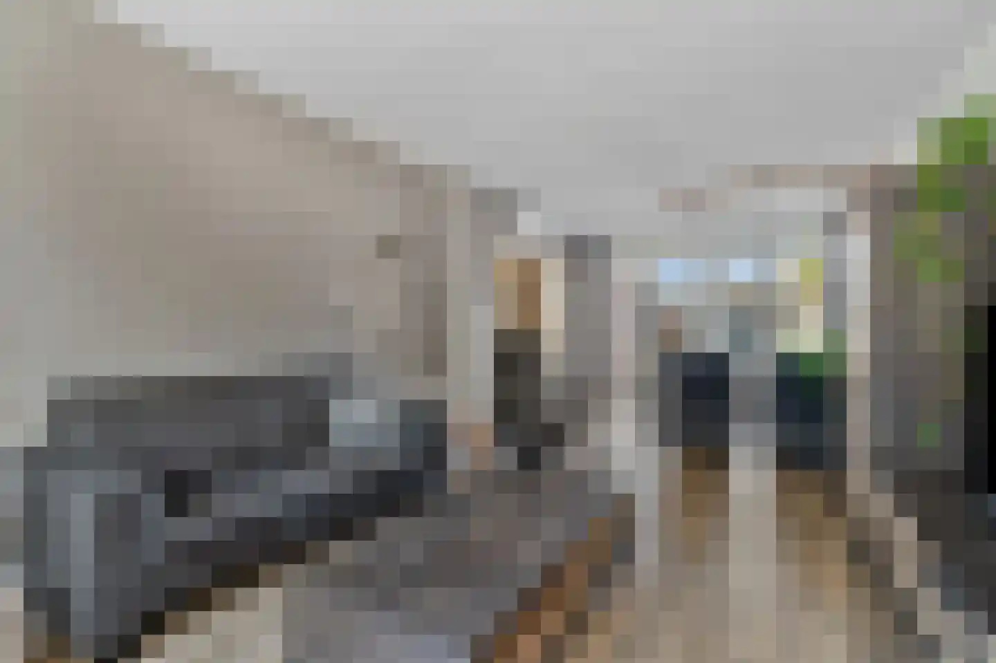 Crocussenstraat 10 Breezand thumbnail 6