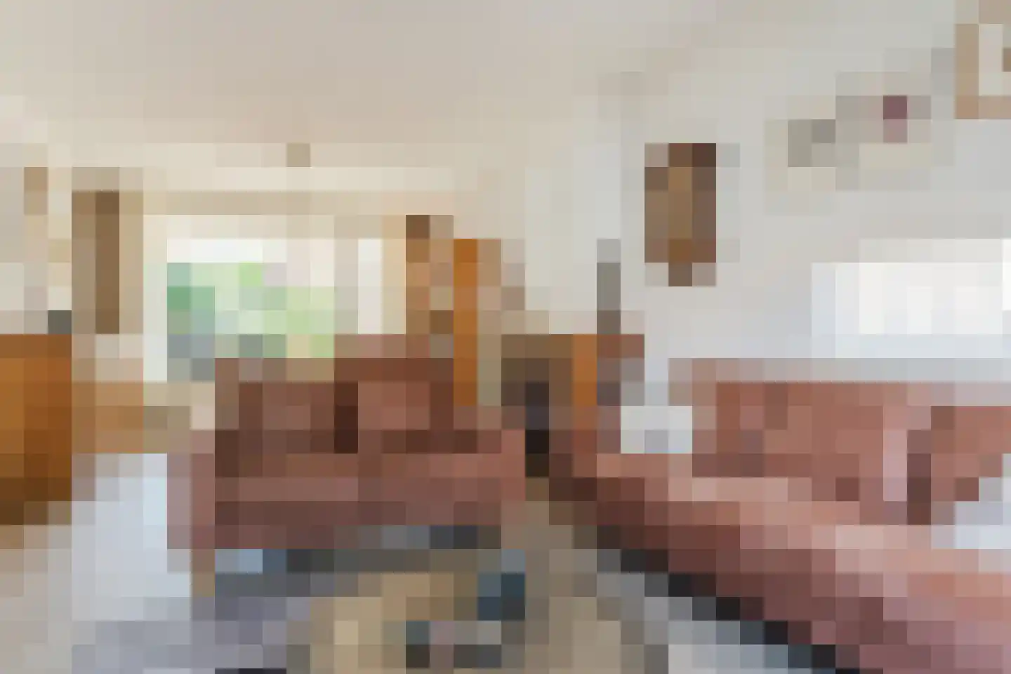 Crocusstraat 11 Uden thumbnail 15