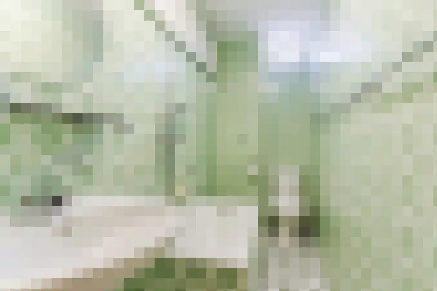 Crocusstraat 11 Uden thumbnail 36