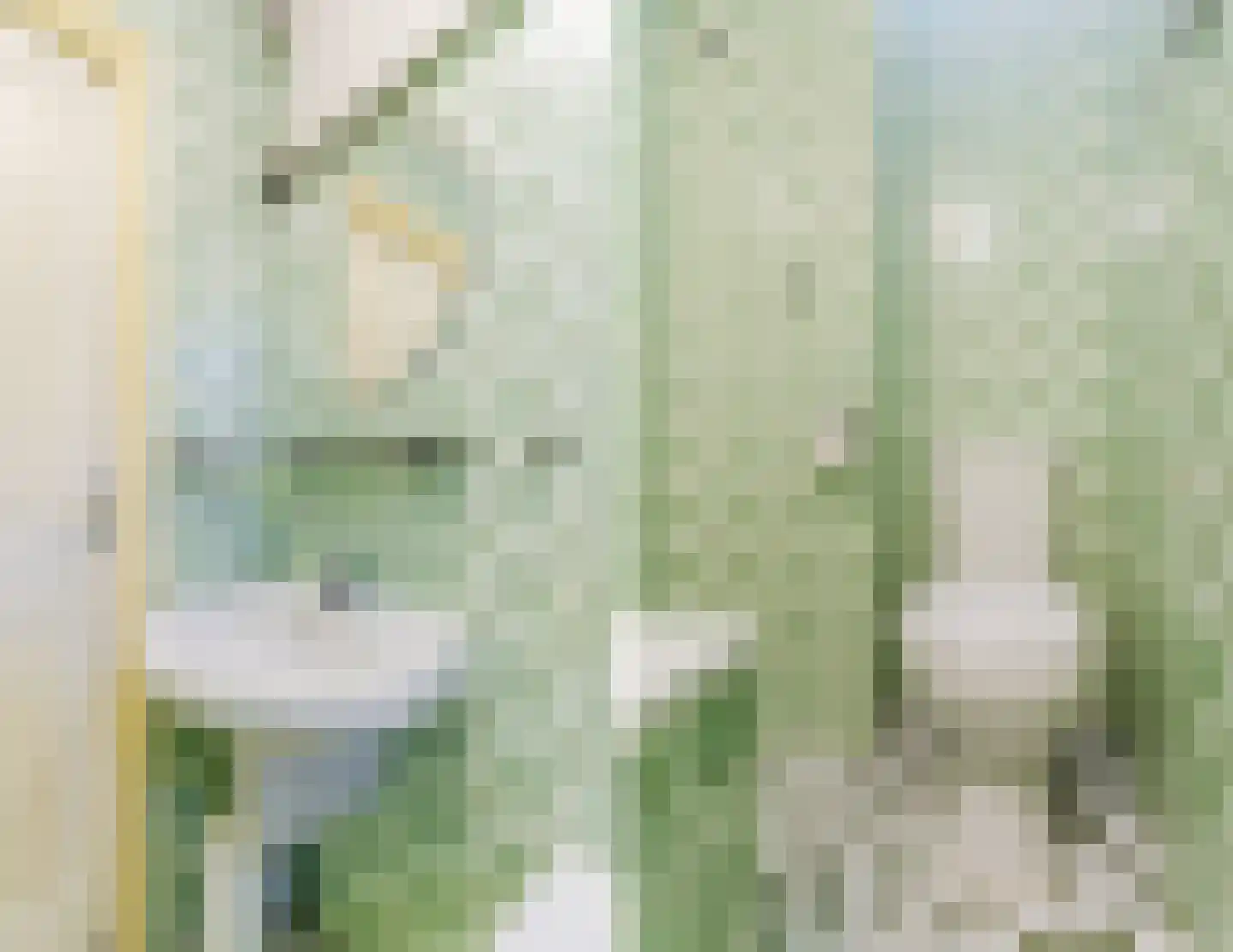 Crocusstraat 11 Uden thumbnail 40