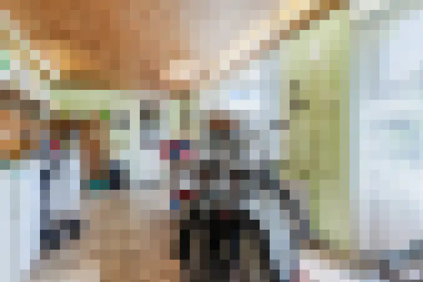 Crocusstraat 11 Uden thumbnail 49