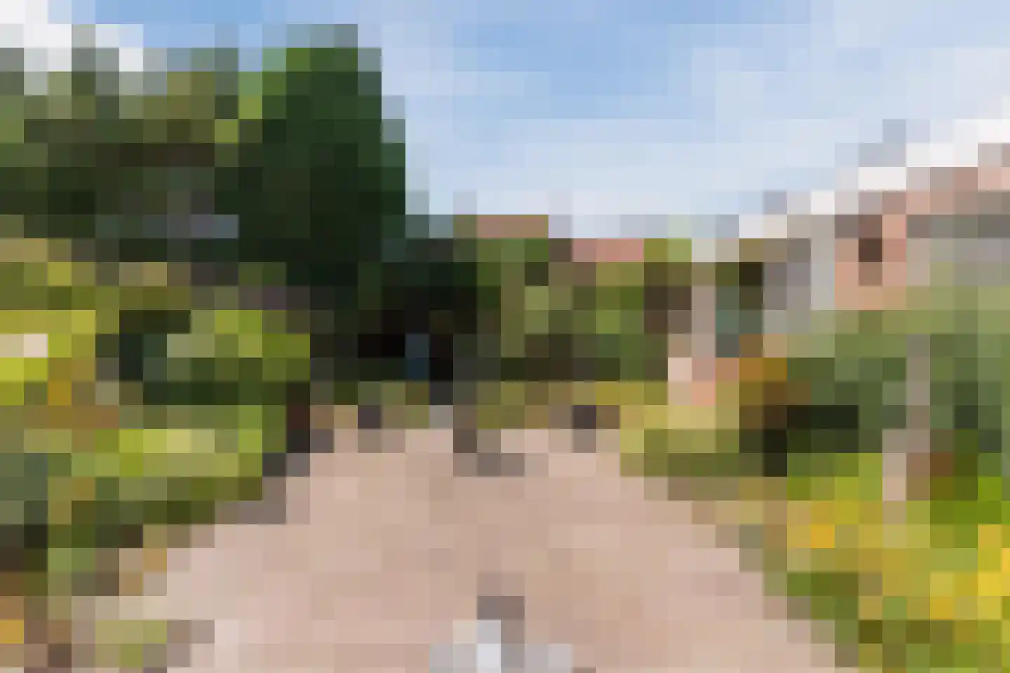 Crocusstraat 11 Uden thumbnail 56