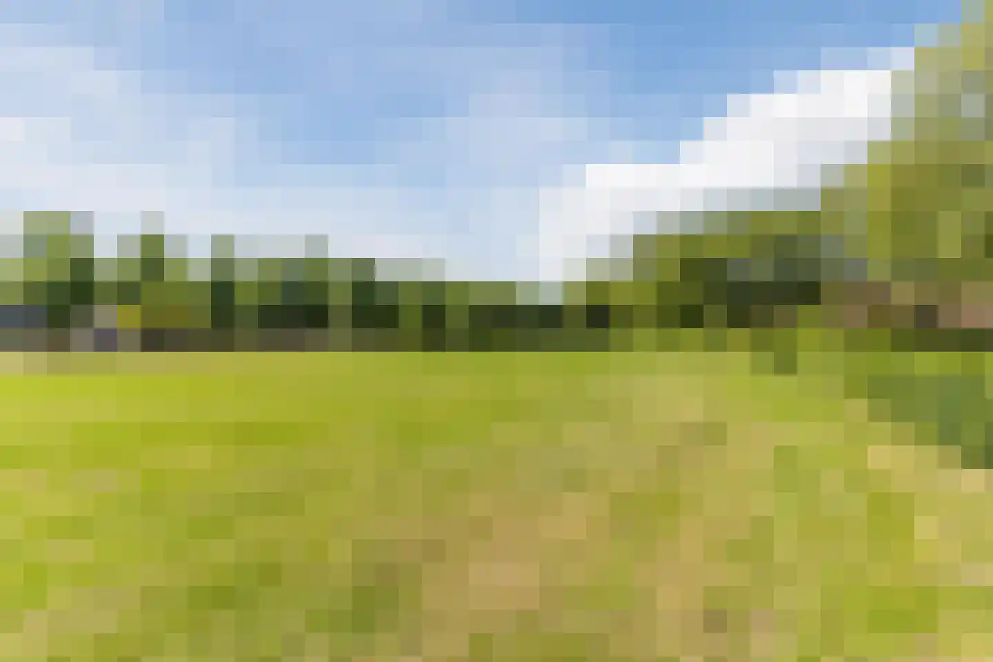 Crocusstraat 11 Uden thumbnail 62