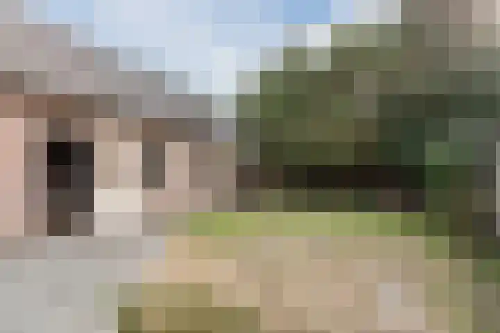 Crocusstraat 13 Uden thumbnail 37