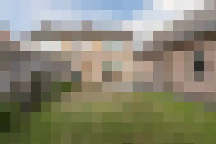 Crocusstraat 13 Uden thumbnail 40