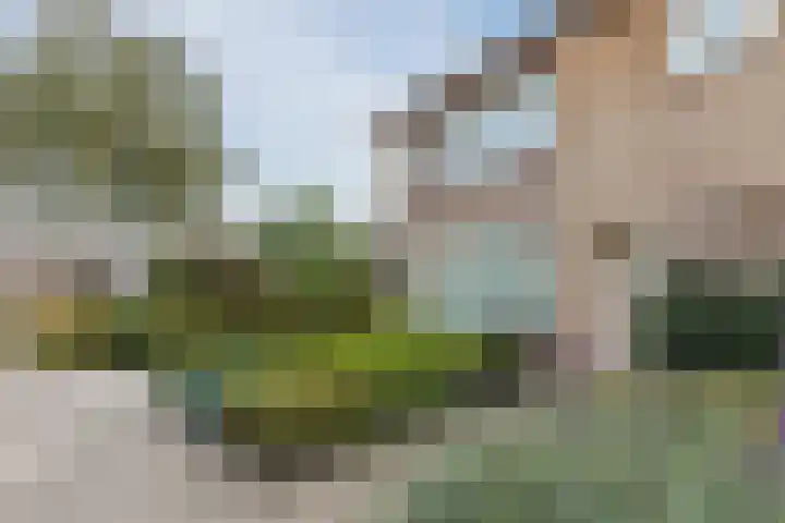 Crocusstraat 13 Uden thumbnail 46