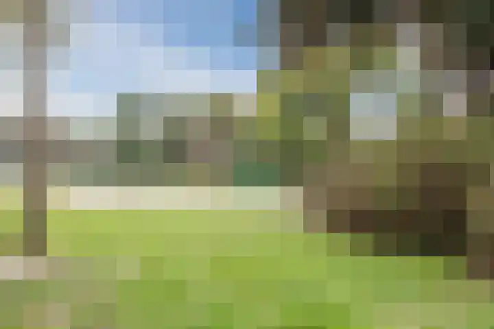 Crocusstraat 13 Uden thumbnail 47
