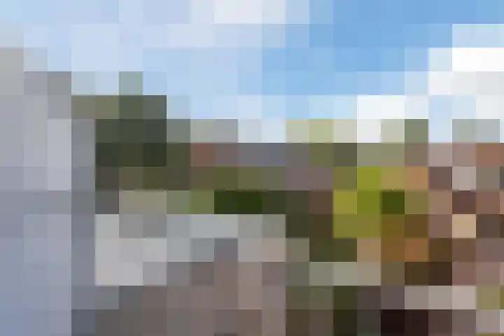 Crocusstraat 20 Baarn thumbnail 33