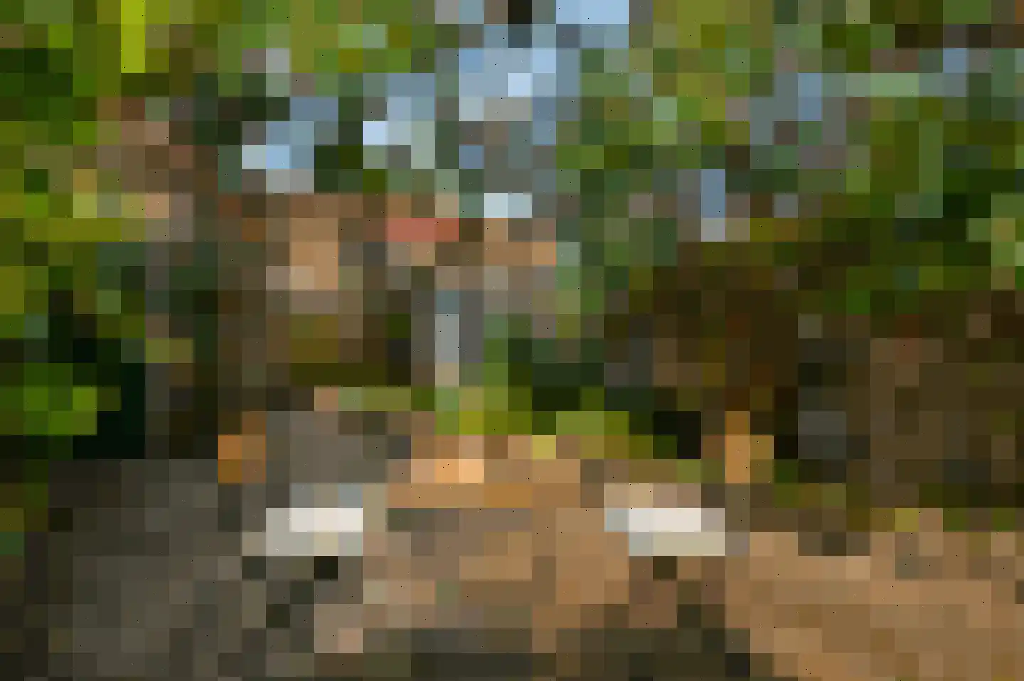 Crocusstraat 22 Hilversum thumbnail 8
