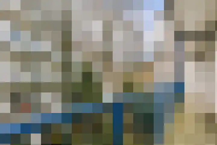 Crocusstraat 24 Uden