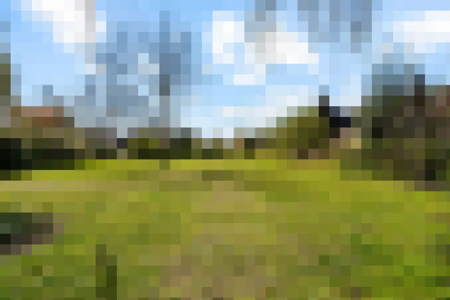 Crocusstraat 24 Uden foto 3