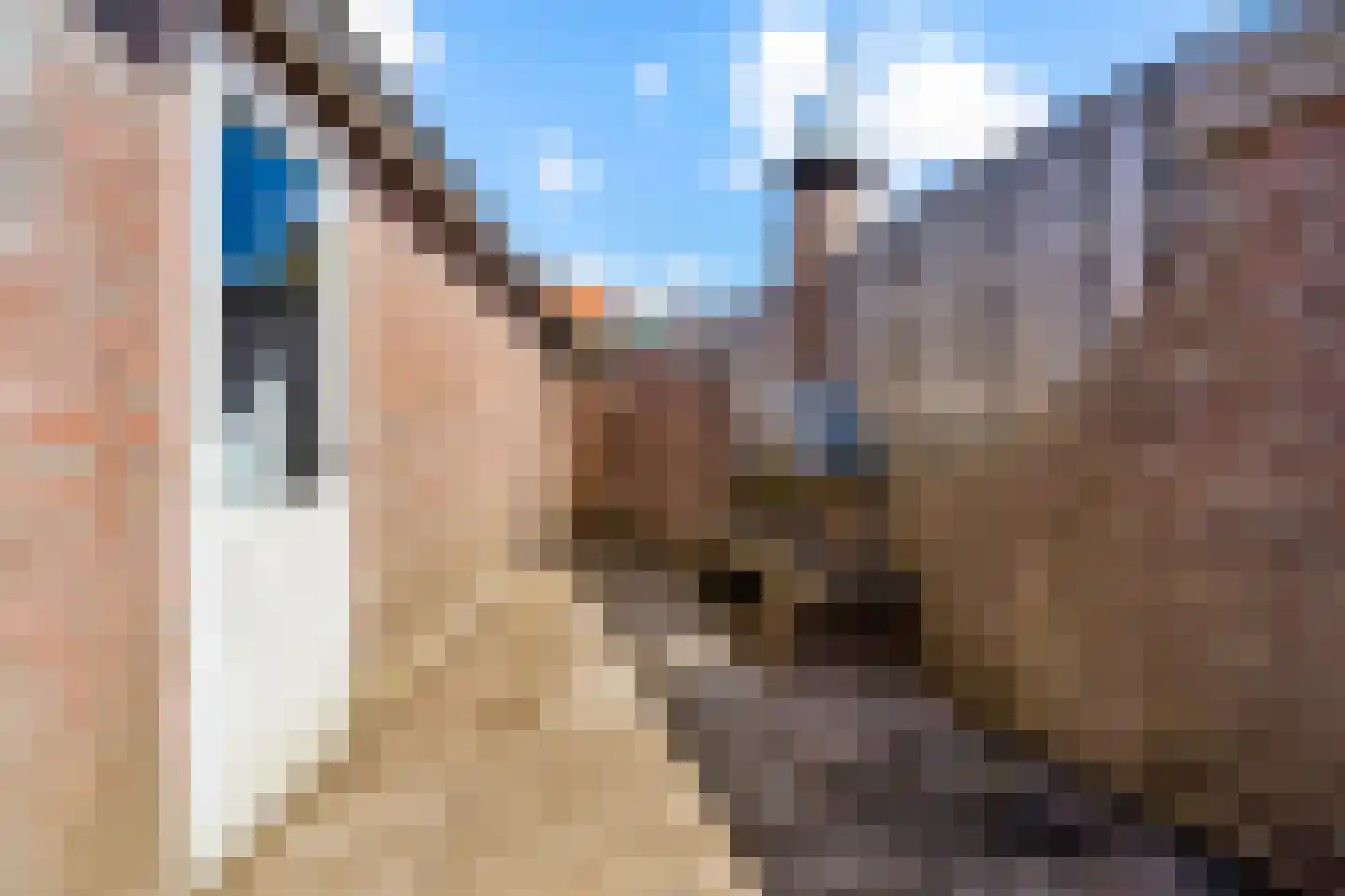 Crocusstraat 24 Uden thumbnail 32