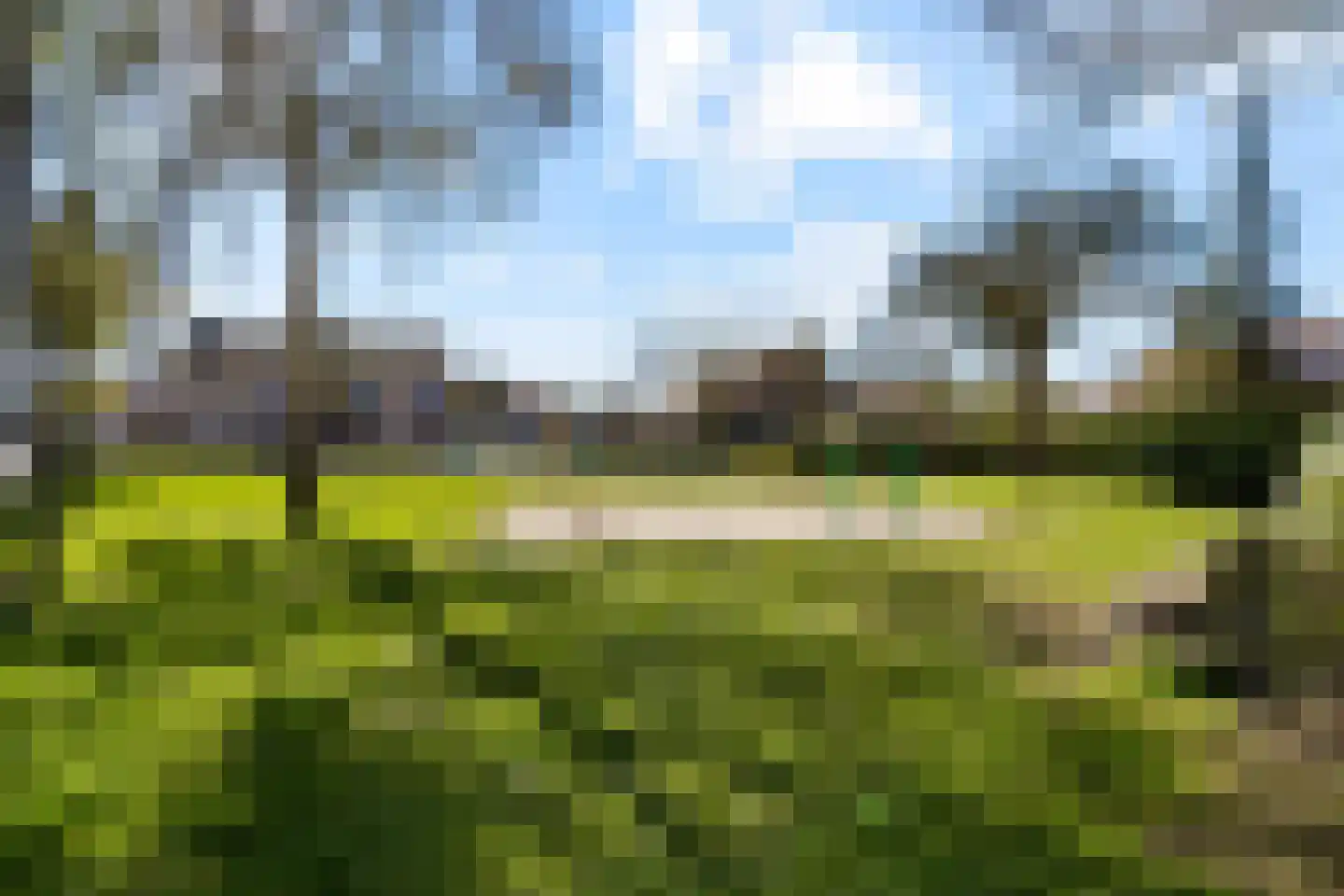 Crocusstraat 24 Uden thumbnail 35