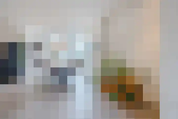 Crocusstraat 24 Uden thumbnail 5