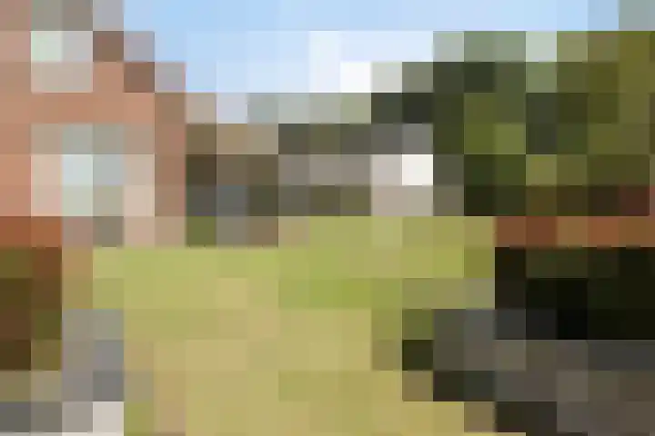 Crocusstraat 24 Uden thumbnail 9