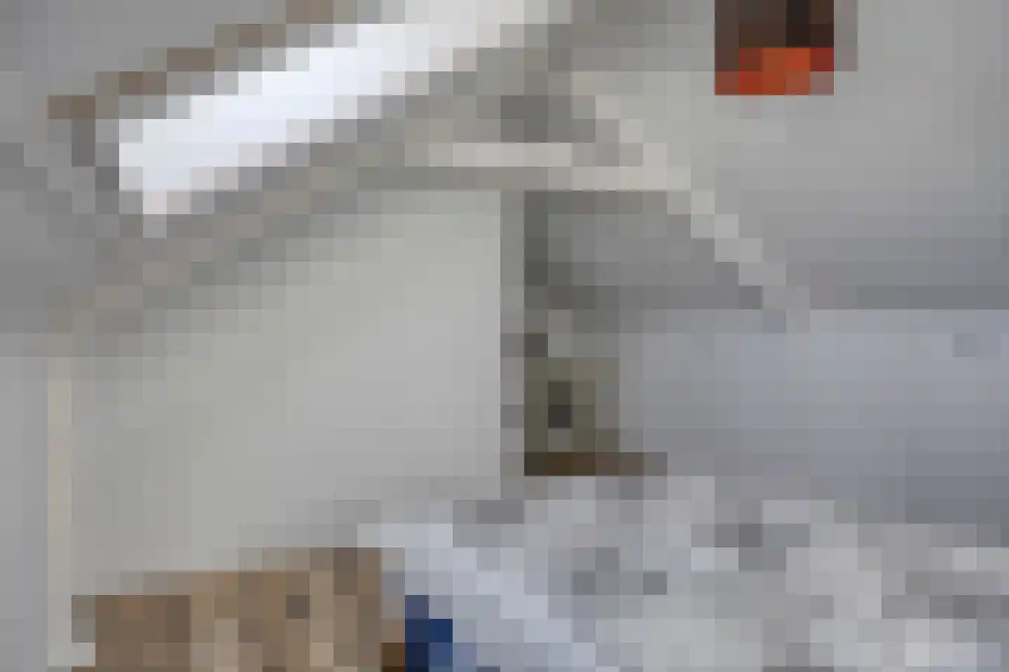 Crocusstraat 3 Swifterbant thumbnail 31