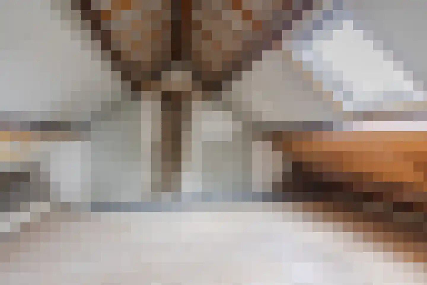 Crocusstraat 38 Uden thumbnail 33