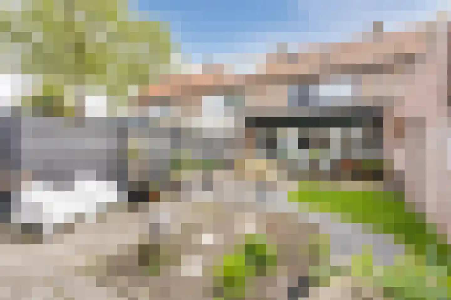 Crocusstraat 38 Uden thumbnail 4