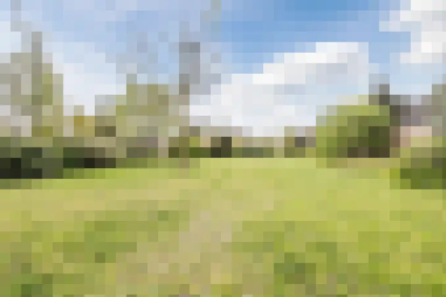 Crocusstraat 38 Uden thumbnail 42
