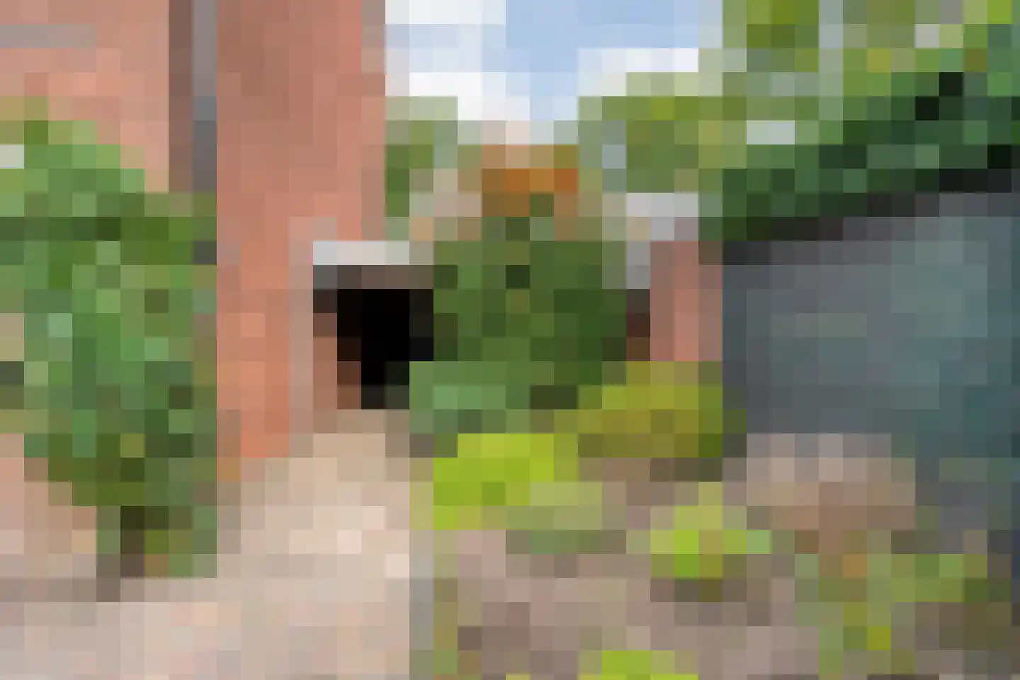 Crocusstraat 44 Enschede thumbnail 33