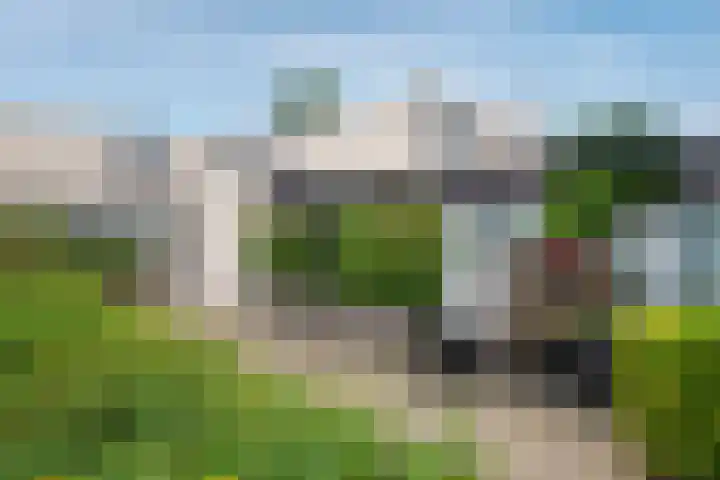 Crocusveld 12 Nieuwerkerk aan den IJssel thumbnail 21