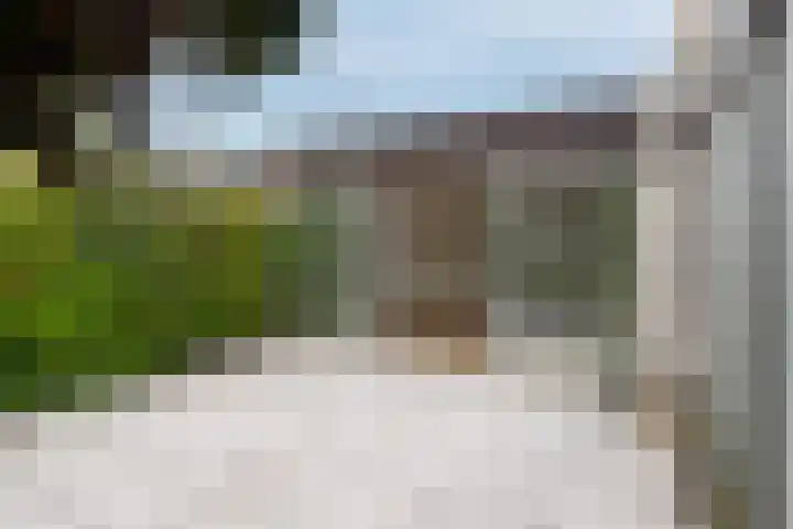 Crocusveld 12 Nieuwerkerk aan den IJssel thumbnail 23