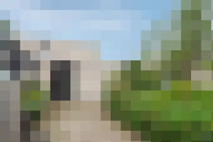Crocusveld 12 Nieuwerkerk aan den IJssel thumbnail 24