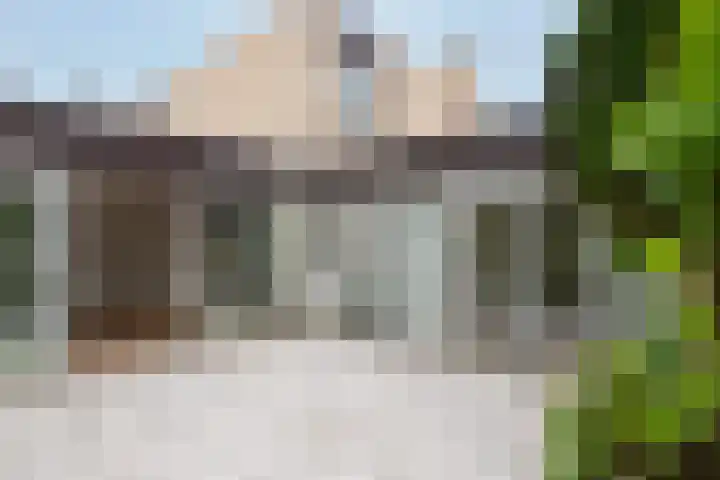 Crocusveld 12 Nieuwerkerk aan den IJssel thumbnail 5