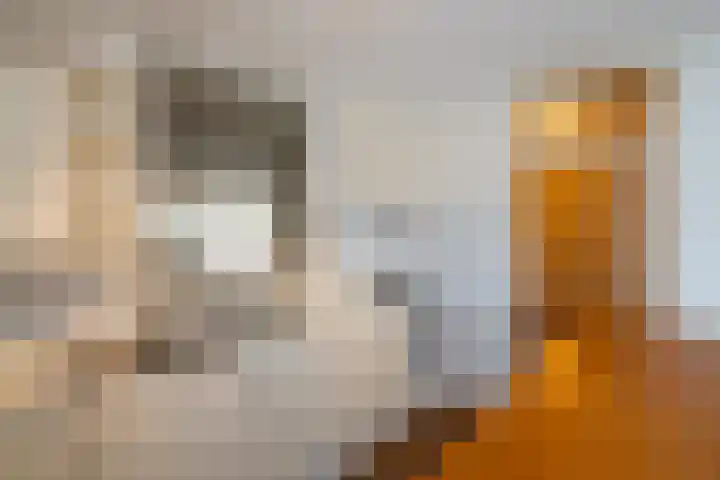 Crocusveld 12 Nieuwerkerk aan den IJssel thumbnail 8