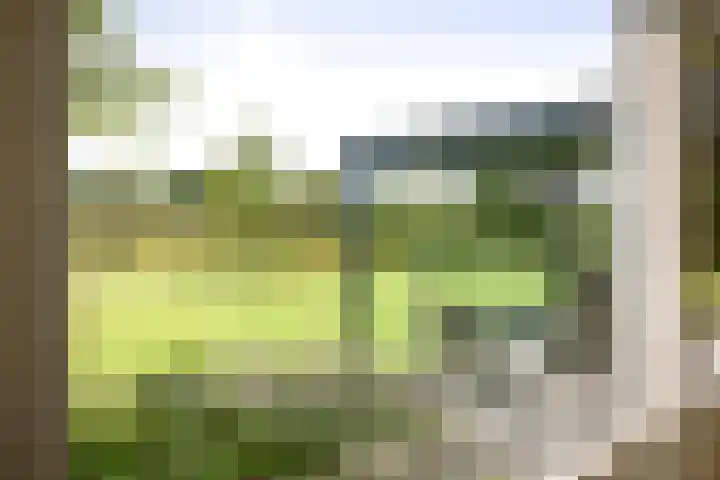 Cröddendijk 12 Lettele thumbnail 11