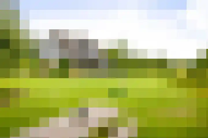 Cröddendijk 12 Lettele thumbnail 18