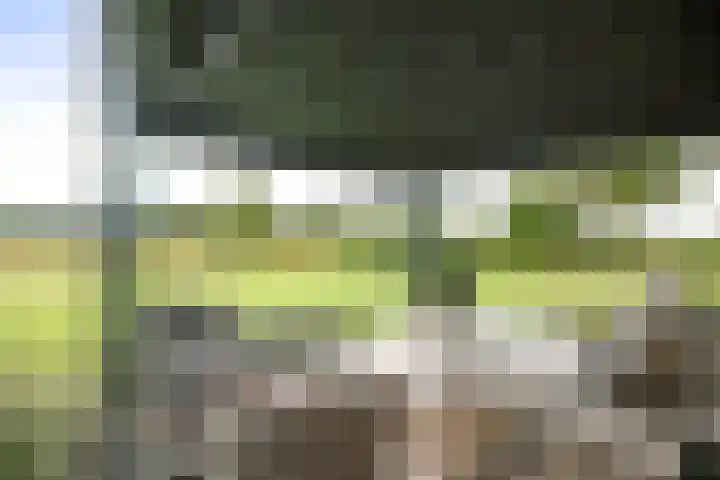 Cröddendijk 12 Lettele thumbnail 20