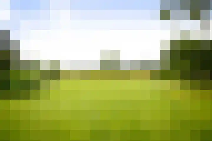 Cröddendijk 12 Lettele thumbnail 21