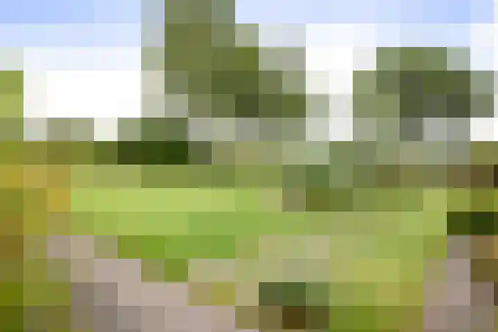 Cröddendijk 12 Lettele thumbnail 22