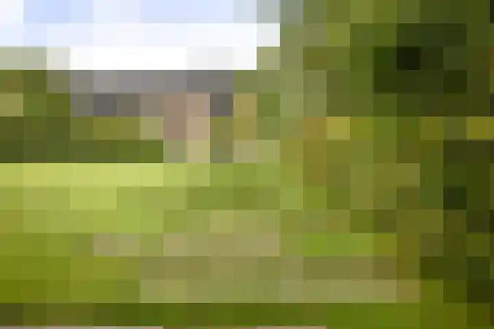 Cröddendijk 12 Lettele thumbnail 23