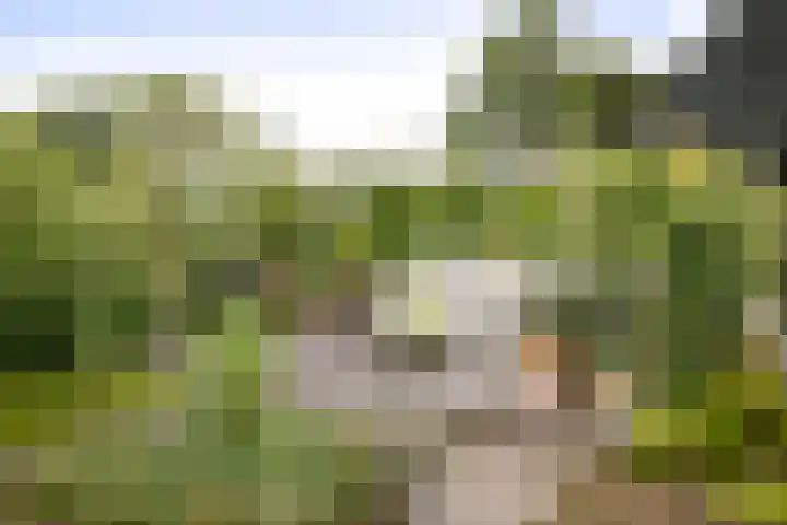 Cröddendijk 12 Lettele thumbnail 24