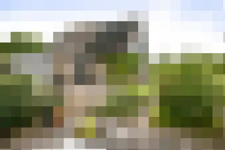 Cröddendijk 12 Lettele thumbnail 25