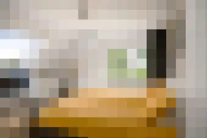 Cröddendijk 12 Lettele thumbnail 27