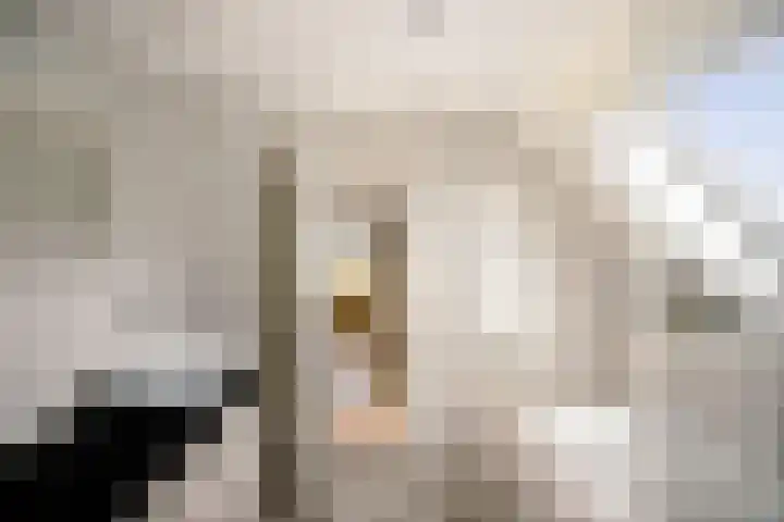 Cröddendijk 12 Lettele thumbnail 31