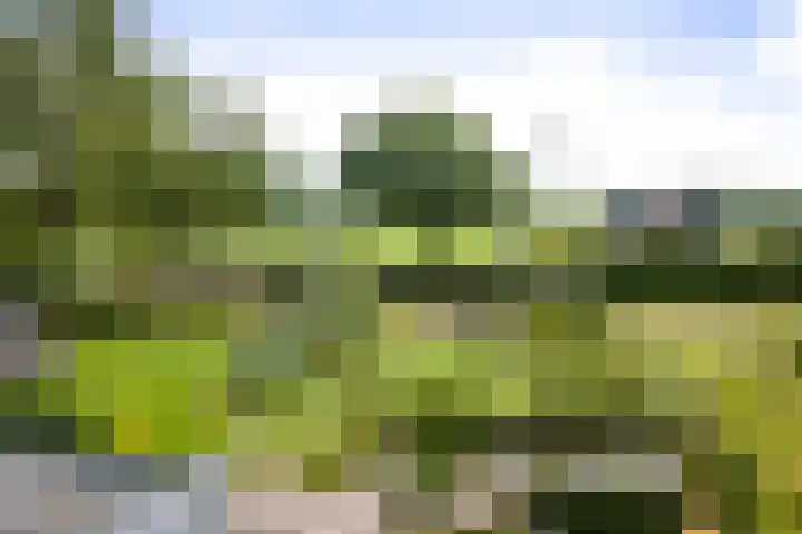Cröddendijk 12 Lettele thumbnail 33