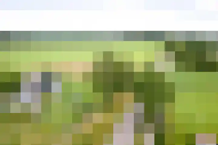 Cröddendijk 12 Lettele thumbnail 34