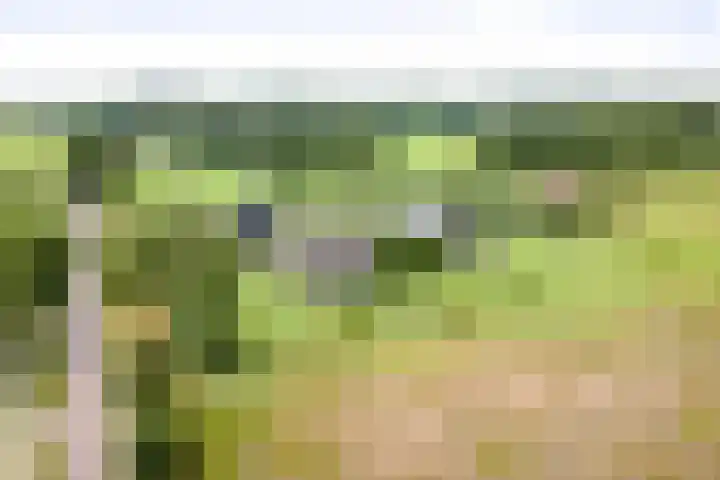 Cröddendijk 12 Lettele thumbnail 35