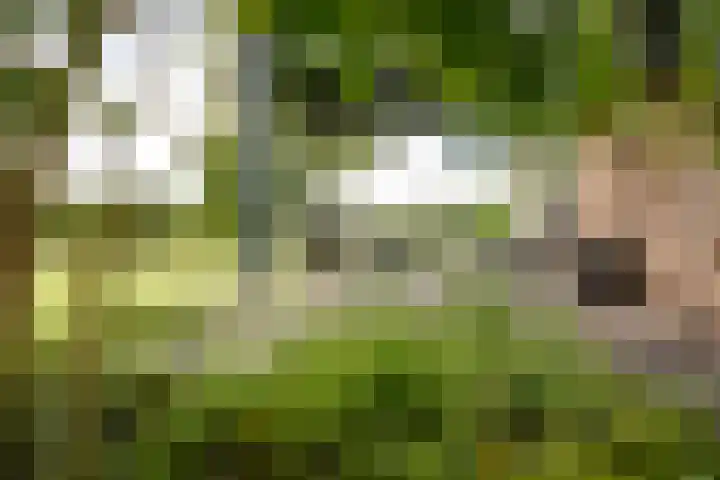 Cröddendijk 12 Lettele thumbnail 4