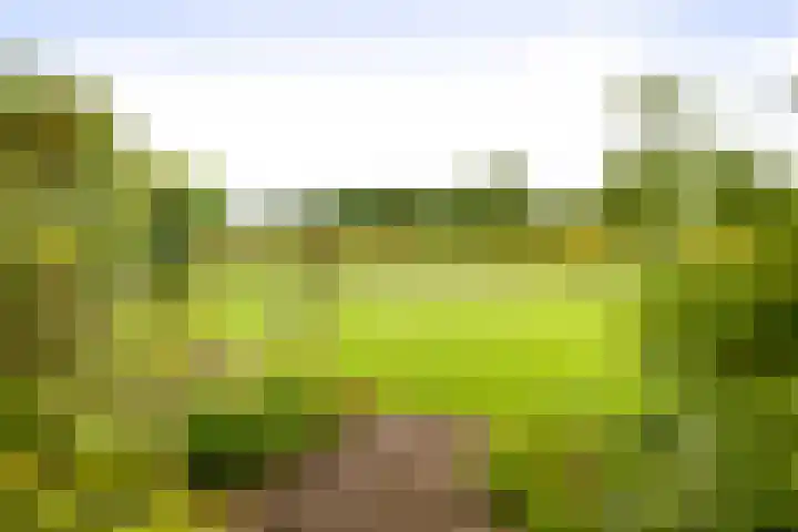 Cröddendijk 12 Lettele thumbnail 5