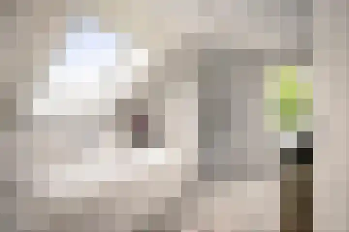 Cröddendijk 12 Lettele thumbnail 6
